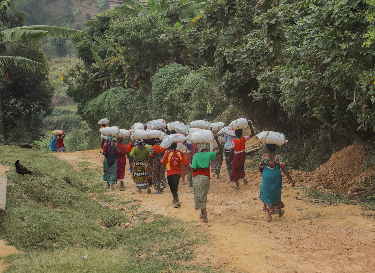 A group of women carrying heavy sacks on a dirt path in a lush, rural African landscape.